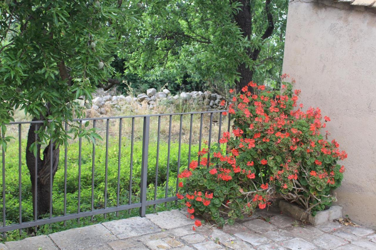 Agriturismo Tenuta Margitello คอมิโซ ภายนอก รูปภาพ